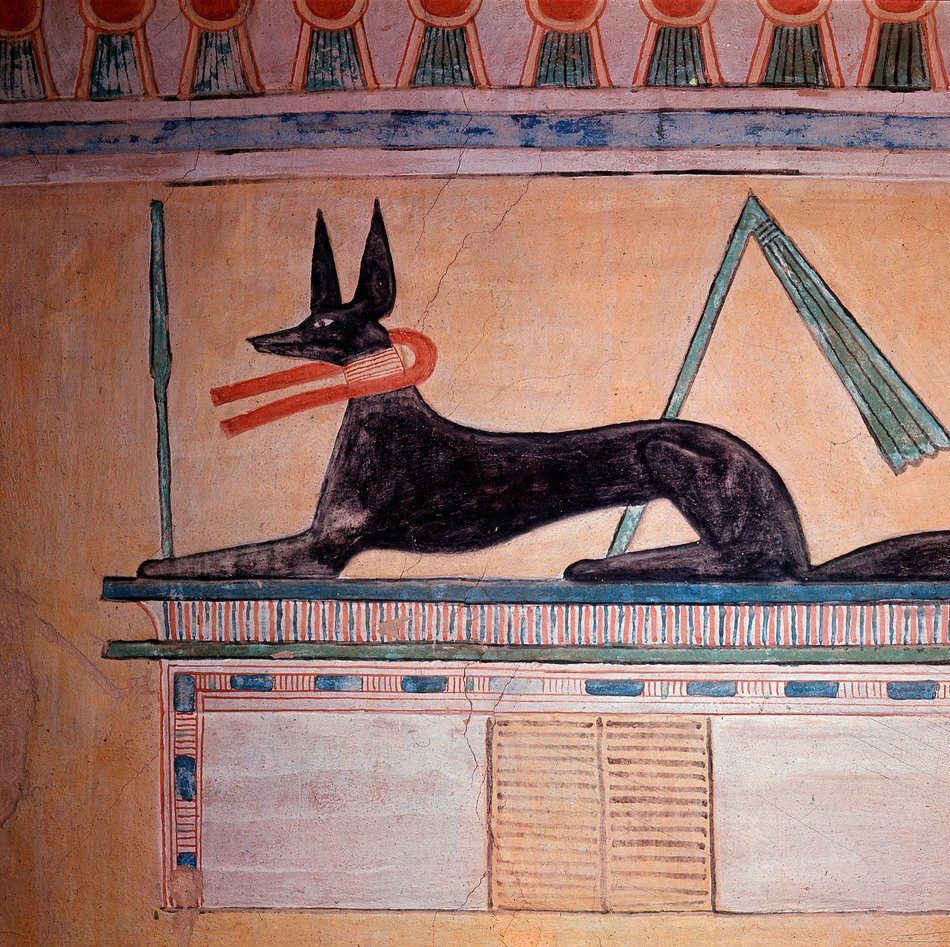 Ancient Egyptian wall art of a dog from the tomb of Prince Khaemweset